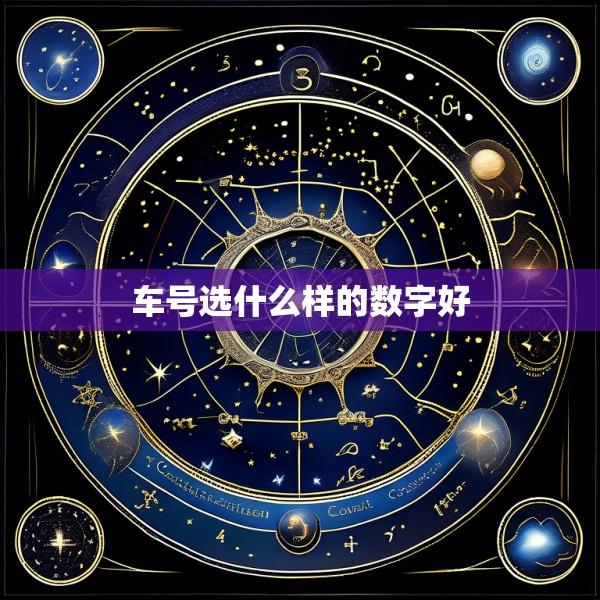 车号选什么样的数字好