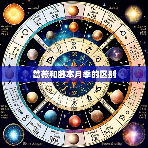 蔷薇和藤本月季的区别