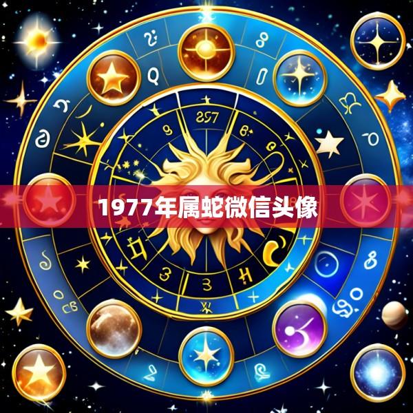 1977年属蛇微信头像