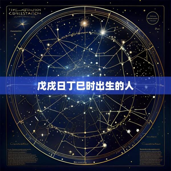 戊戌日丁巳时出生的人