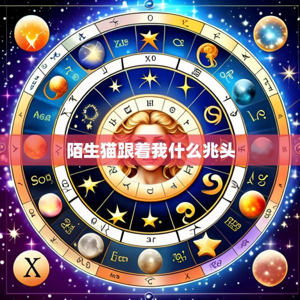 陌生猫跟着我什么兆头