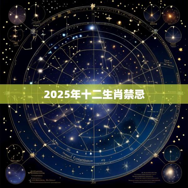 2025年十二生肖禁忌