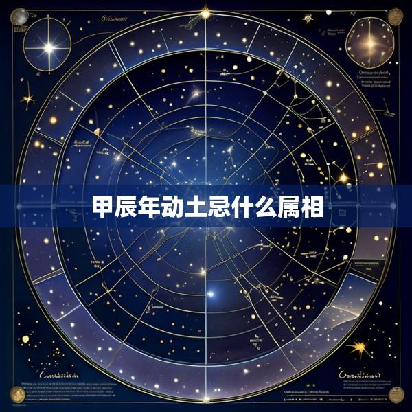 甲辰年动土忌什么属相