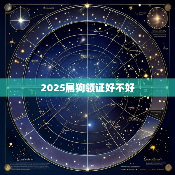 2025属狗领证好不好