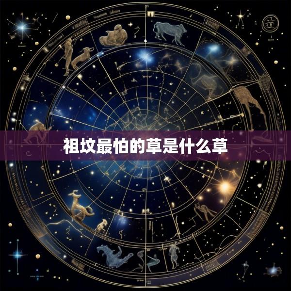 祖坟最怕的草是什么草