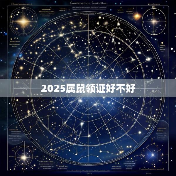 2025属鼠领证好不好