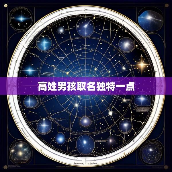高姓男孩取名独特一点
