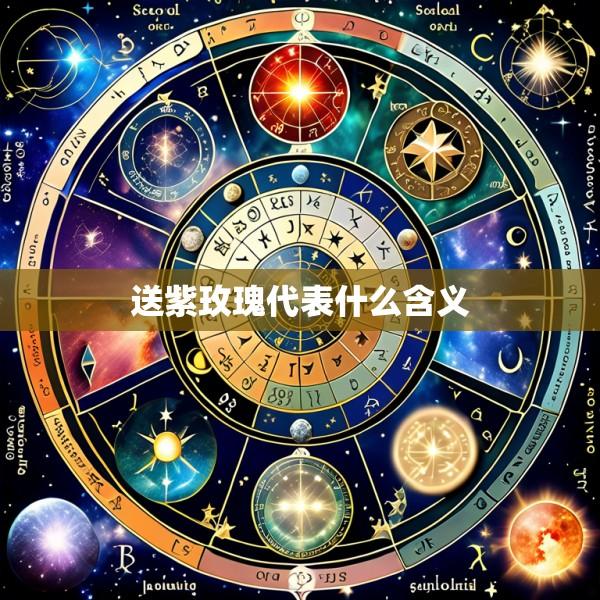 送紫玫瑰代表什么含义
