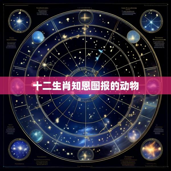 十二生肖知恩图报的动物