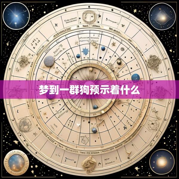 梦到一群狗预示着什么