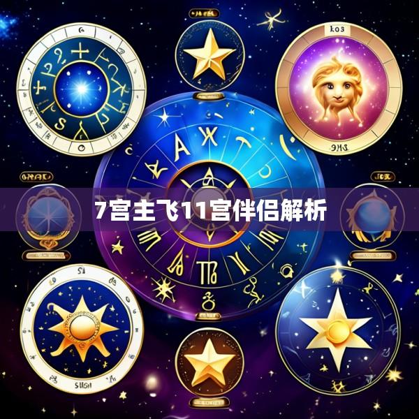 7宫主飞11宫伴侣解析