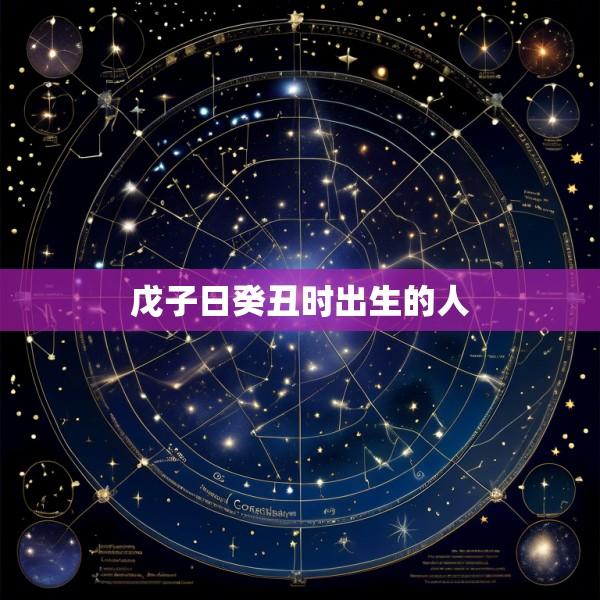 戊子日癸丑时出生的人