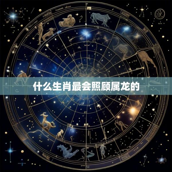什么生肖最会照顾属龙的