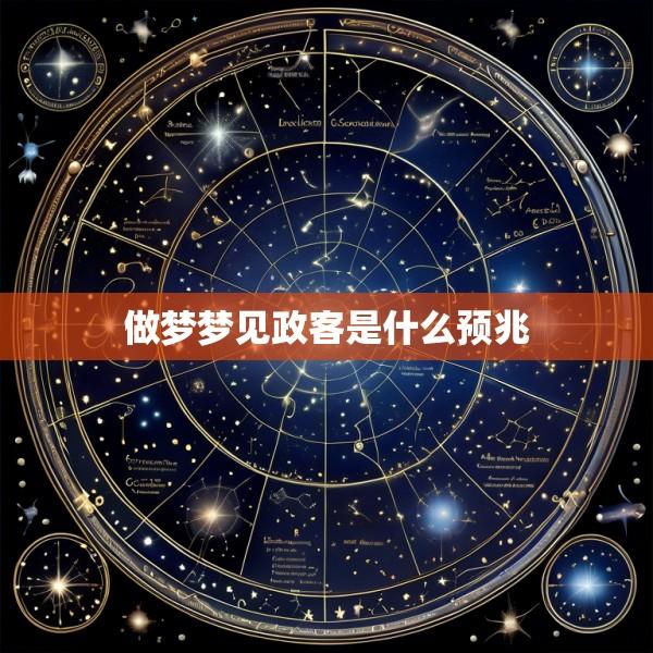 做梦梦见政客是什么预兆