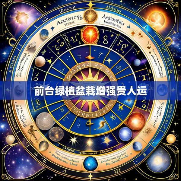 前台绿植盆栽增强贵人运