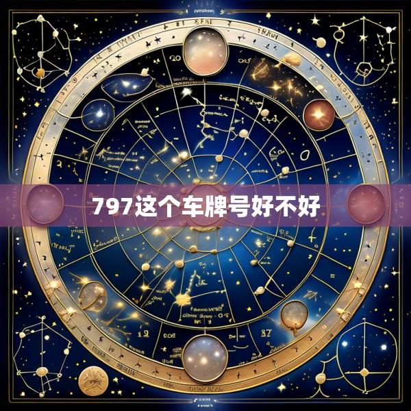 797这个车牌号好不好