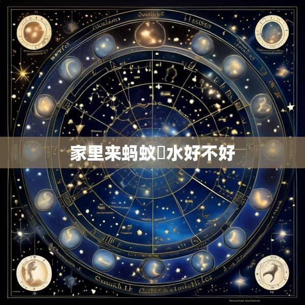 家里来蚂蚁風水好不好