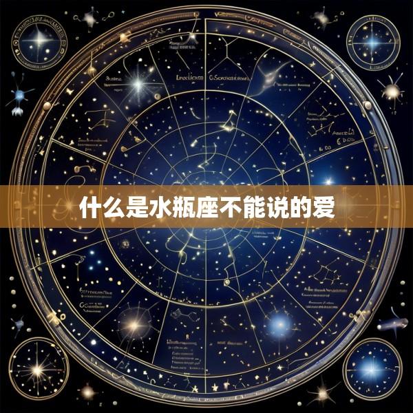 什么是水瓶座不能说的爱