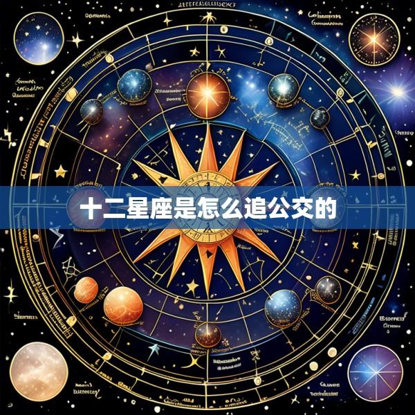 十二星座是怎么追公交的
