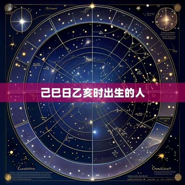 己巳日乙亥时出生的人