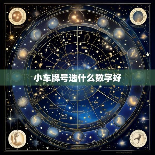 小车牌号选什么数字好