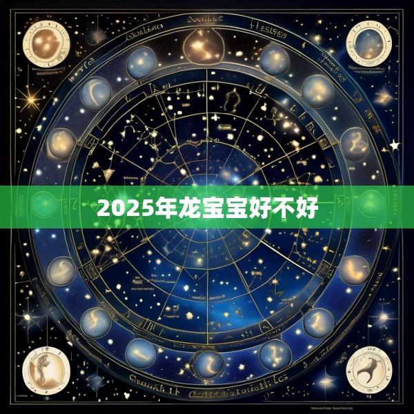 2025年龙宝宝好不好