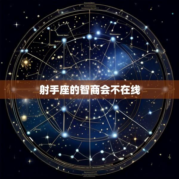 射手座的智商会不在线