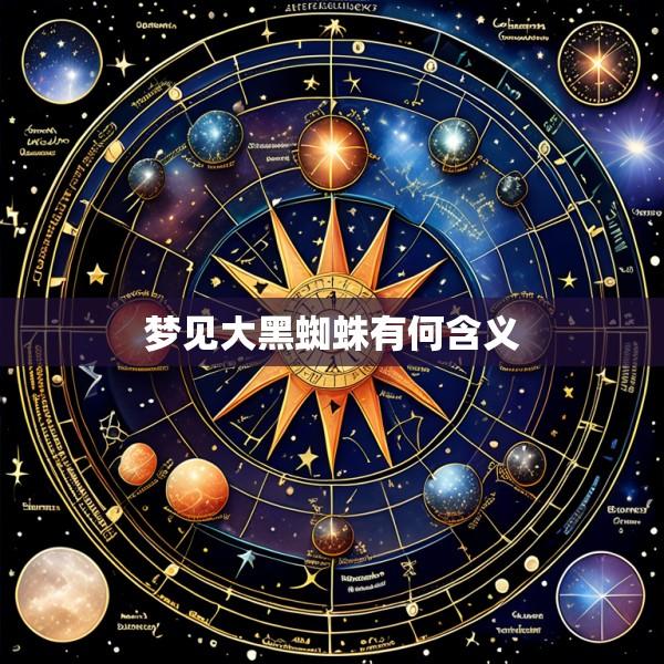 梦见大黑蜘蛛有何含义