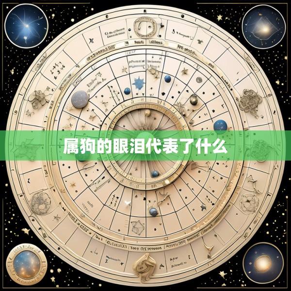 属狗的眼泪代表了什么