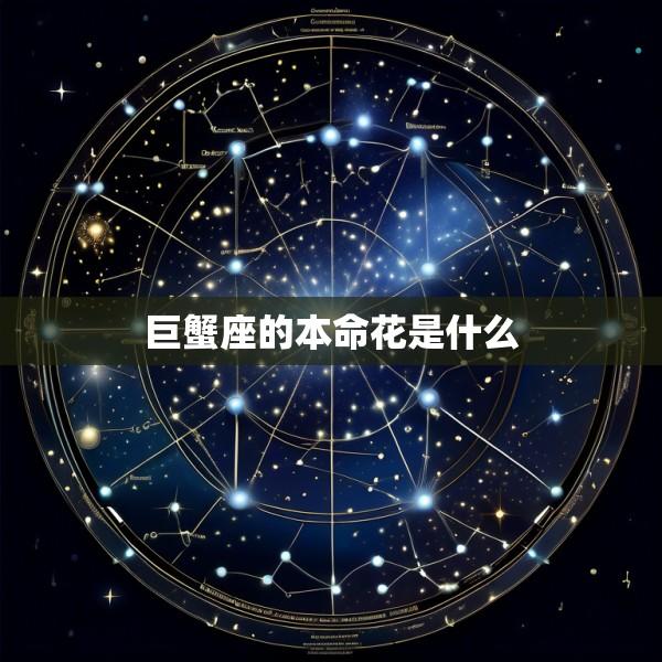 巨蟹座的本命花是什么