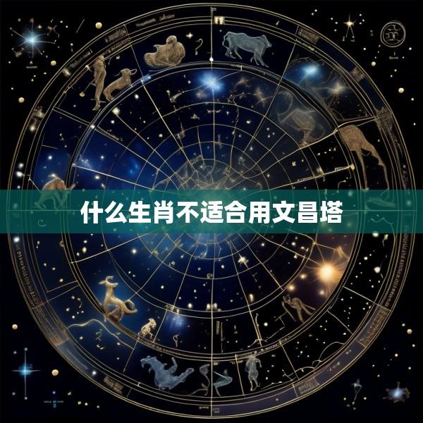 什么生肖不适合用文昌塔