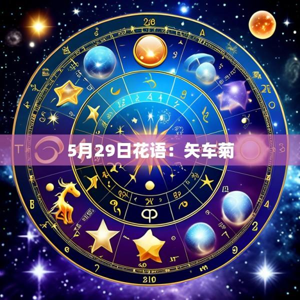 5月29日花语：矢车菊
