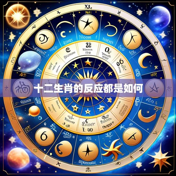 十二生肖的反应都是如何