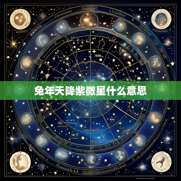 兔年天降紫微星什么意思