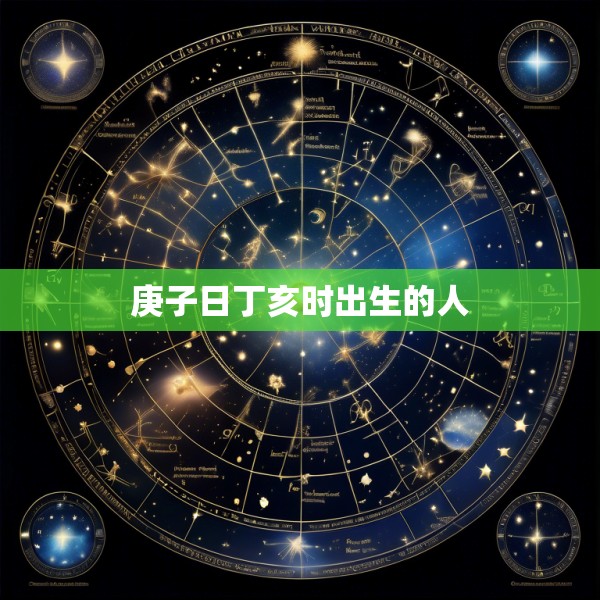 庚子日丁亥时出生的人