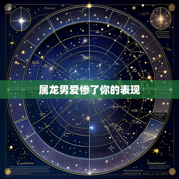 属龙男爱惨了你的表现