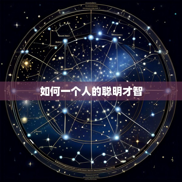 如何一个人的聪明才智