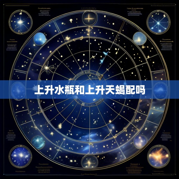 上升水瓶和上升天蝎配吗