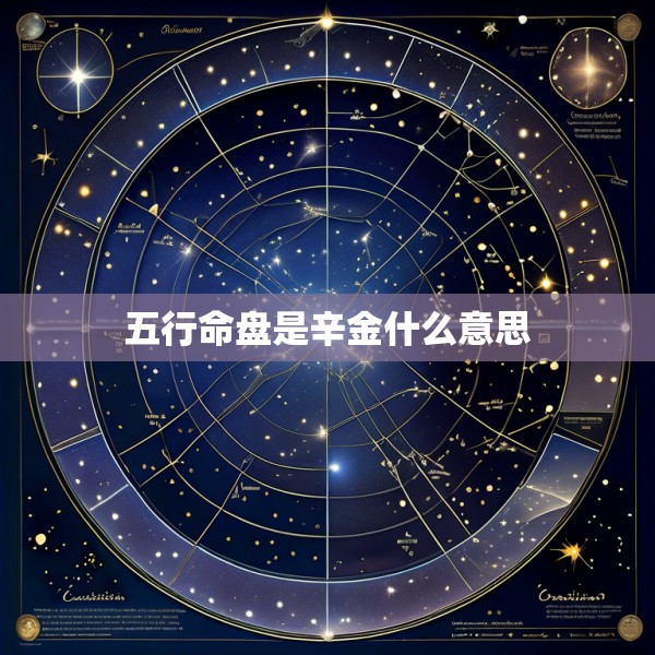 五行命盘是辛金什么意思