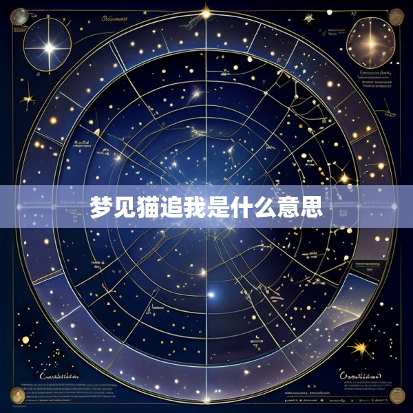 梦见猫追我是什么意思