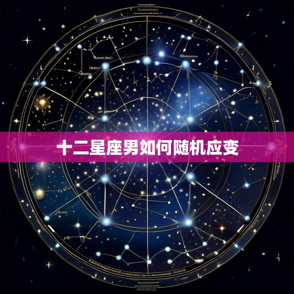 十二星座男如何随机应变