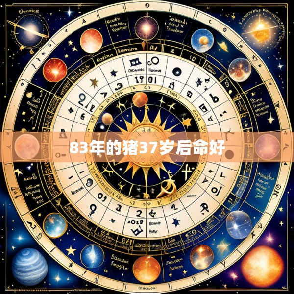 83年的猪37岁后命好