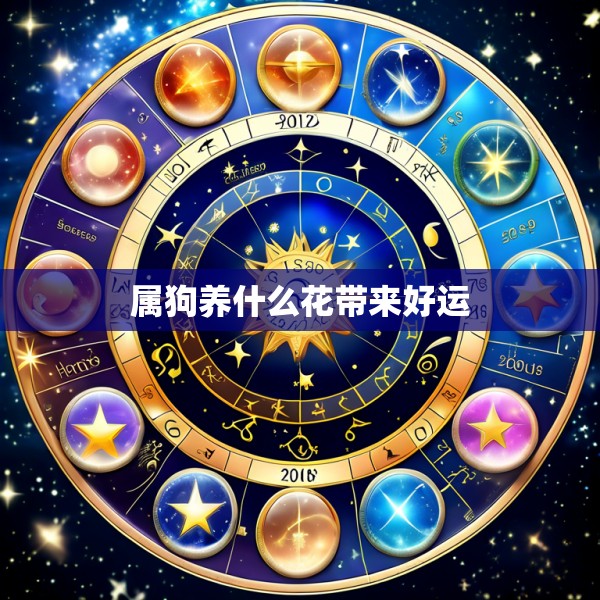 属狗养什么花带来好运