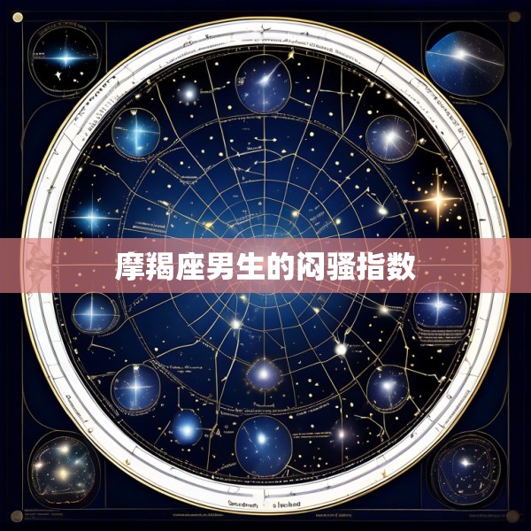 摩羯座男生的闷骚指数