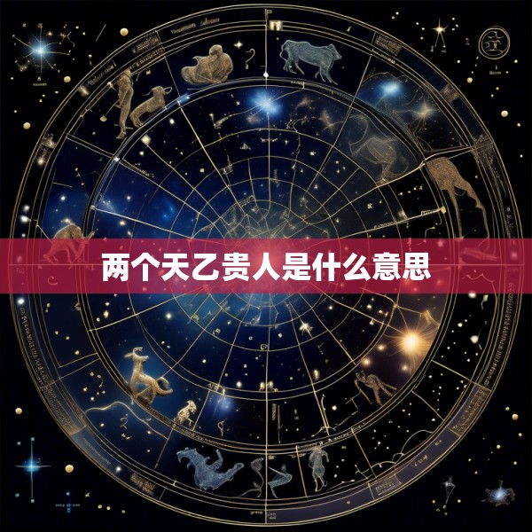 两个天乙贵人是什么意思
