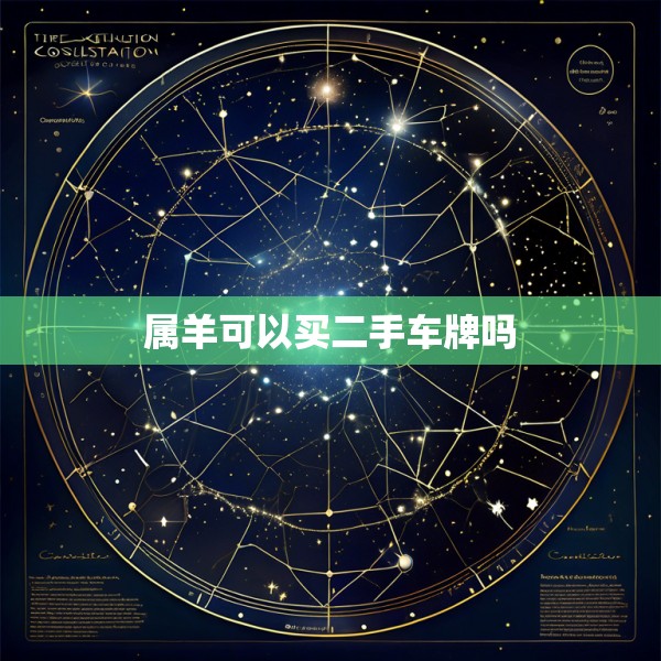 属羊可以买二手车牌吗
