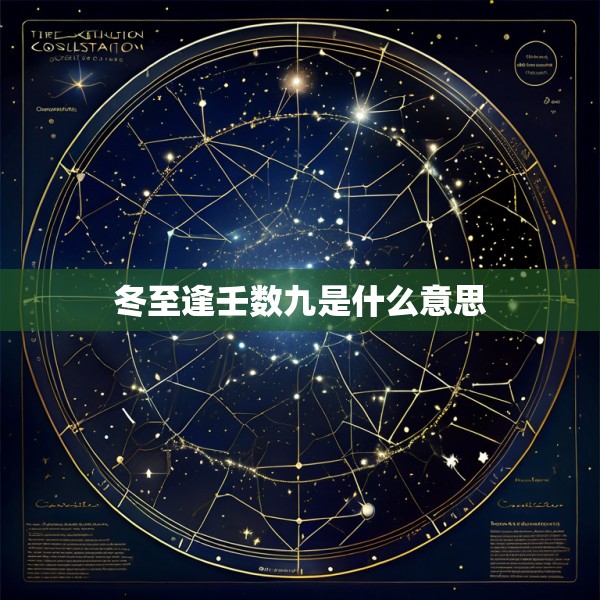 冬至逢壬数九是什么意思