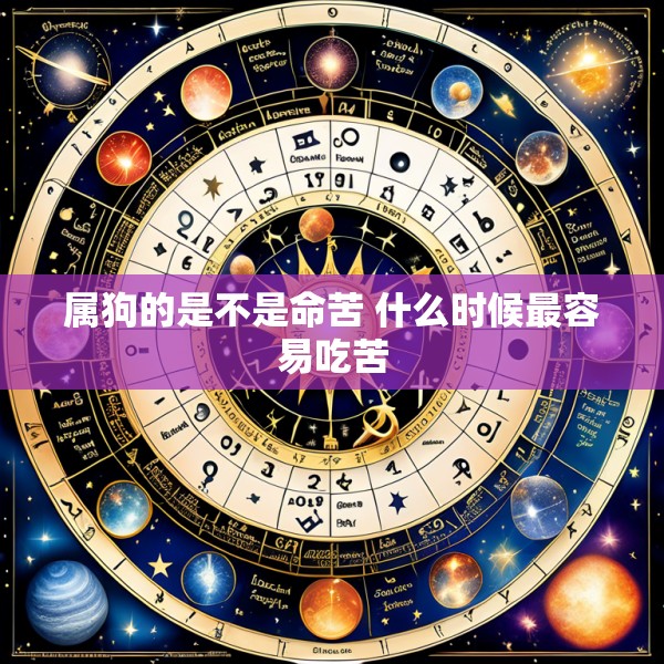 属狗的是不是命苦 什么时候最容易吃苦