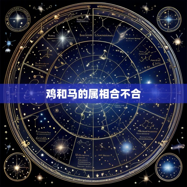 鸡和马的属相合不合