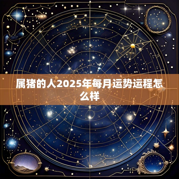 属猪的人2025年每月运势运程怎么样